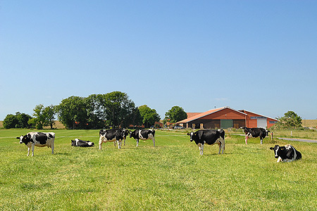 Foto aus der Fotogruppe 