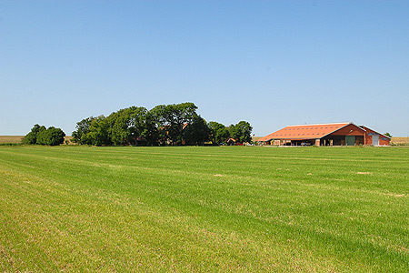 Foto aus der Fotogruppe 