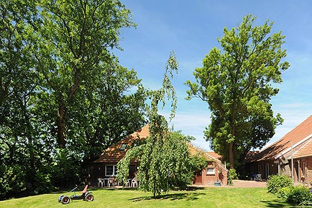 Foto aus der Fotogruppe 