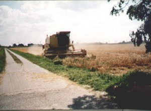 Foto aus der Fotogruppe 