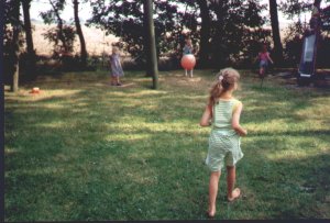 Foto aus der Fotogruppe 