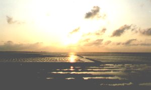 Foto aus der Fotogruppe 