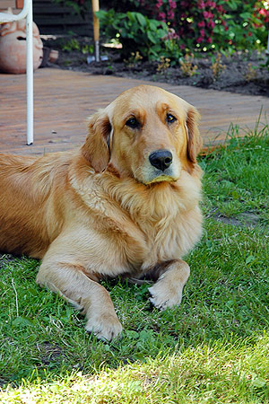 Foto aus der Fotogruppe 