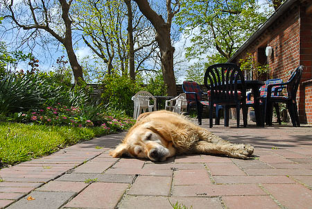 Foto aus der Fotogruppe 