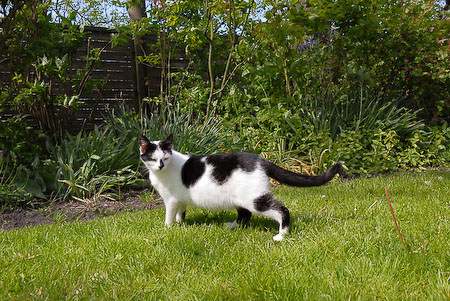 Foto aus der Fotogruppe 