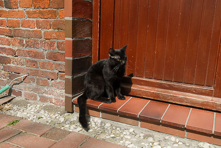 Foto aus der Fotogruppe 